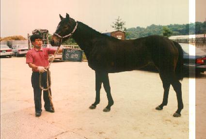 ģȭ�� ����