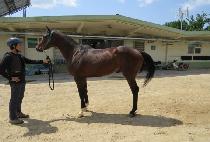 ���������� (UNJU PRINCE) ����