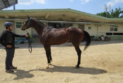 ���������� ����