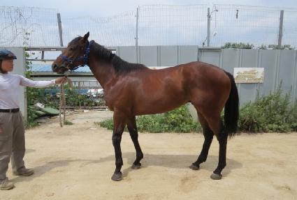 �������� ����