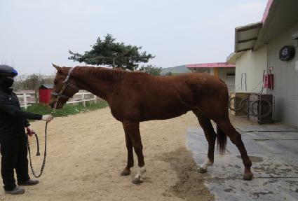 �巡�����Ʈ ����