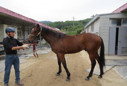 ���̵巡�� ����