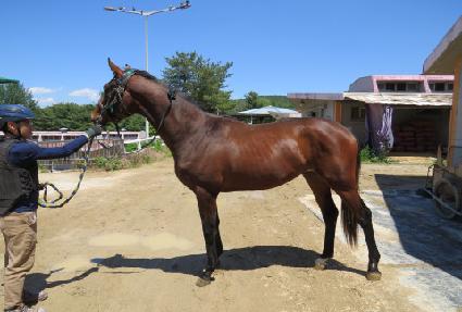 �ߴ����巡�� ����