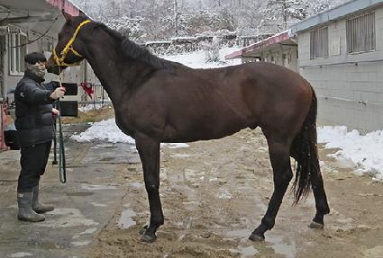 �������س� ����