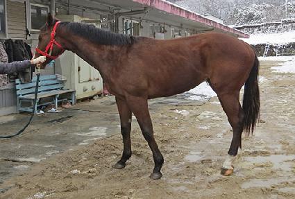 �����󵵰��� ����