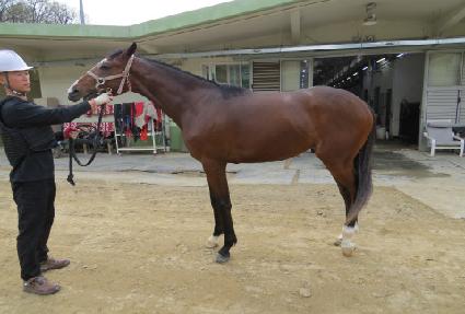 �긮���ø��� ����