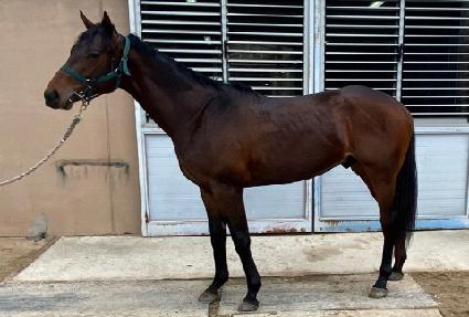 �긮������ ����