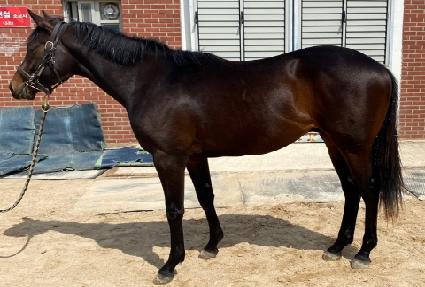 Ŭ���� ����