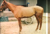 ������ (SU DONG I) ����