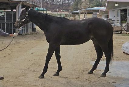 ��ó ����