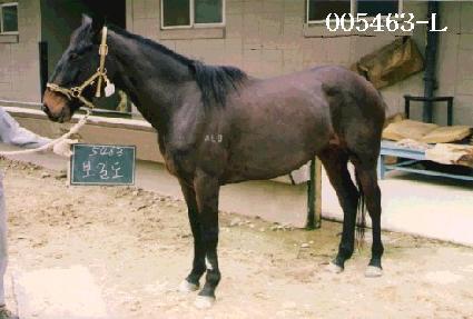 ���浵 ����