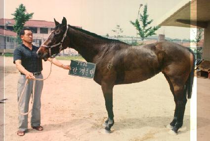 �Ѱ赹�� ����