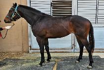 ������ (SAENAE MOON) ����