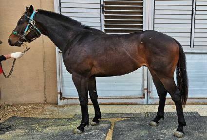 ������ ����