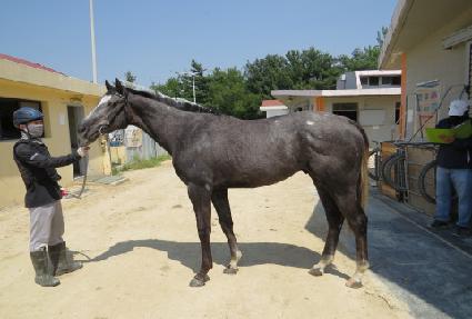 �ϳ������� ����