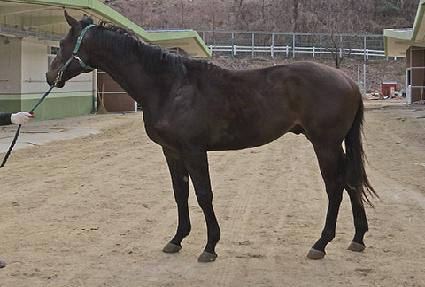 �̶�Ŭ�ϳ� ����