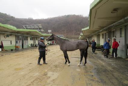 �����ĭ ����