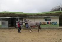 �����ź (HERO TAN) ����