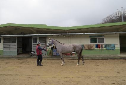 �����ź ����