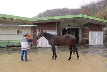 �����¯ (HERO JJANG) ����