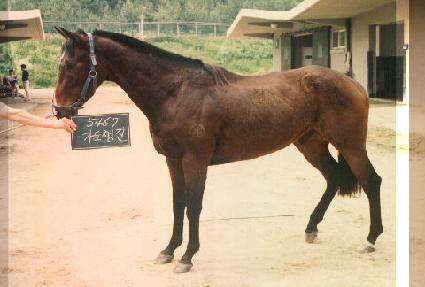 �������� ����