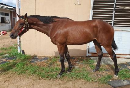 �����ǹݼ� ����