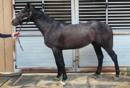 �����ǹݼ� ����