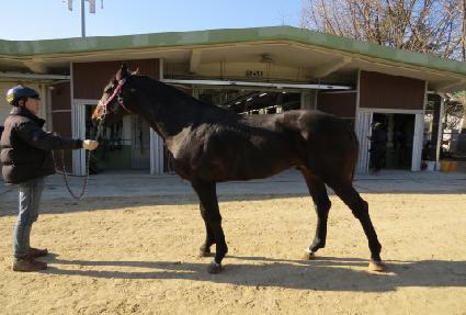 ź���ǹݼ� ����