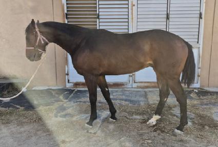 �İ��ǹݼ� ����