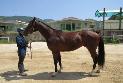 ����Ұ�� ����