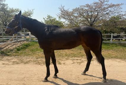 ĵ�ٶ� ����