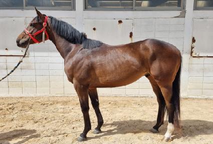 �����ӽ�ũ�� ����