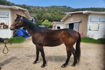 �����ӷ� ����