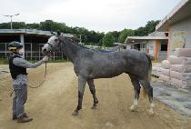 ��ٿ�ī (SARDAUKAR) ����