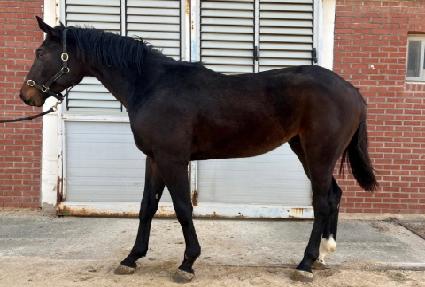 ���ۼ� ����