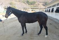 �ε����� (ROAD TO WIN) ����