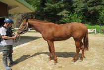 ����Ǯ���̿� (WONDERFUL A ONE) ����