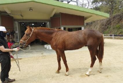 ���̽����� ����