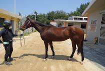 ����Ƽ���� (MIGHTY JOY) ����