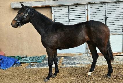 ��ȭ�յ� ����