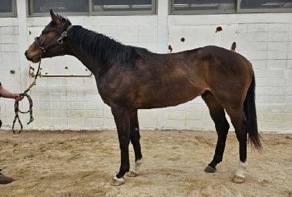 ī������� ����