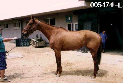 �뷡���� ����