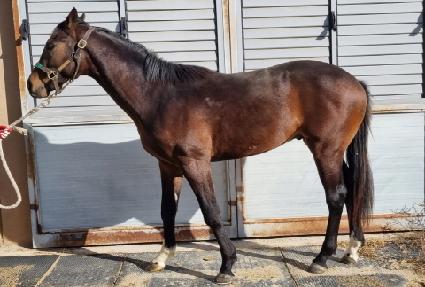 ���²� ����