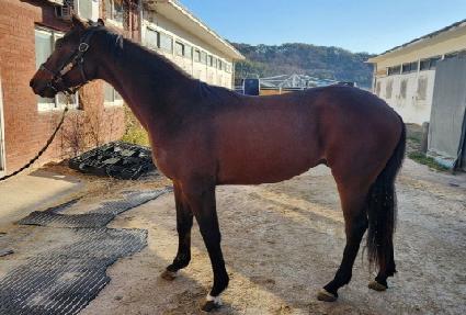 �����Ѳ� ����