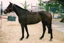 ����Ʈ (BIG HIT) ����