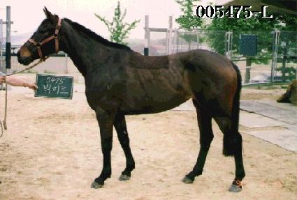 ����Ʈ ����