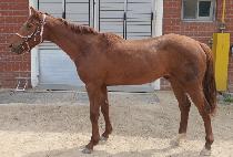 ���丮���丮 (VICTORY STORY) ����