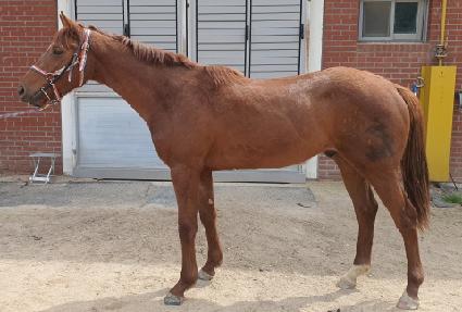 ���丮���丮 ����