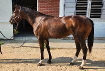 ��ǰ�÷��� (MYEONGPUM PLAY) ����