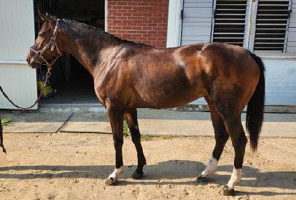 ��ǰ�÷��� ����